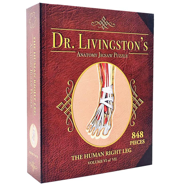 Jigsaw Puzzle: Dr. Livingston's Anatomy - The Right Leg [848 Pieces] (أحجية الصورة المقطوعة)
