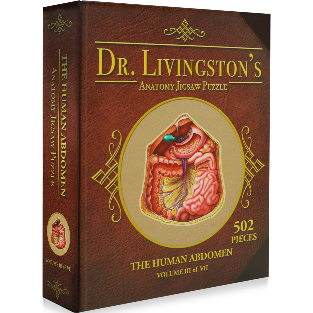 Jigsaw Puzzle: Dr. Livingston's Anatomy - The Human Abdomen [502 Pieces] (أحجية الصورة المقطوعة)