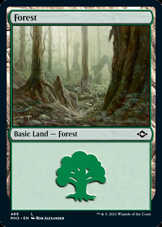 Forest (489) (Etched Foil) [Modern Horizons 2]